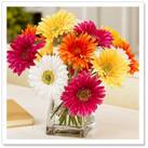 http://www.hgtv.ca/blog/photos/stylesheet/images/43967/original.aspx